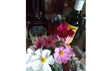 『出来事。過ぐ世現つ世紡ぐ糸MM544』の画像