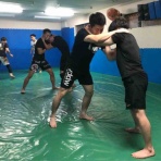ブラジリアン柔術 修斗 総合格闘技道場 パラエストラ和泉blog