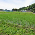 梅雨は何処へ!?  晴天ご近所ポタ