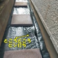 【実家の雑草対策DIY】家の周囲（犬走り）に除草シート＋敷石を敷いて草取り不要に！