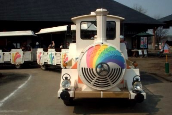 天平の花まつり 栃木県国分寺町 二代目坊ちゃん列車 走るパークトレイン