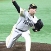 日ハム田中正義の今季成績予想
