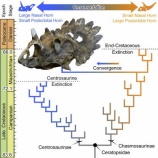 『論文をプロポーズに使った恐竜学者とさまざまなプロポーズ』の画像