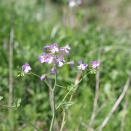 撮ってから一週間経つともう季節がずれてしまいます。
