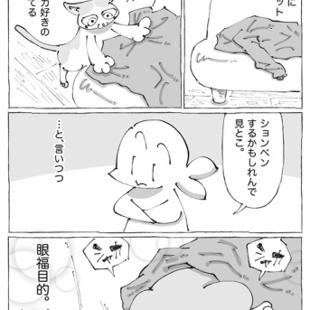 うちの犬のルカ。【９６】