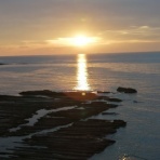 磯鵯（リタイリーの一人旅、ひとりごと）