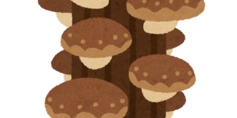 コロナで休園は残念だけど子どもとゆっくり家ですごすのも悪くない。しいたけ栽培キット買って子どもと楽しんでる。