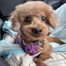 優しい家族募集中