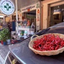 暑いです、辛いです