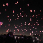 pukupukuのグルメ日記