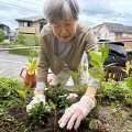 お花を植えよ🌸
