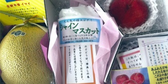【ホロライブ】りりーか、リグゼコーチから実家スーパーのフルーツ盛り合わせをもらう「シャインマスカット甘～～～～～い」