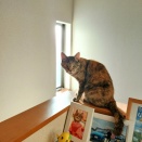 階段にて