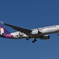 Ａ３３０、ハワイアン航空の柄物