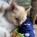 GWは仕事