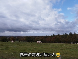 ルーブルの強盗2人逮捕・宝物は未回収