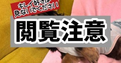 規格外の貯水量。