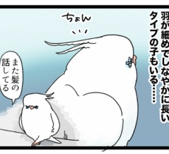 【また髪の話してる…】オカメちゃんの妙なトサカ
