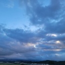 サラダ菜