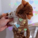 3kgを超えました･･･