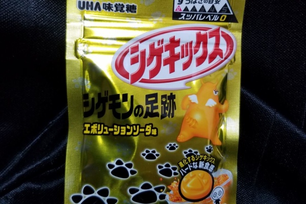 私用で使用感 食品