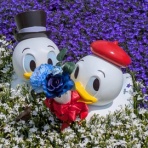ぼっちディズニーの備忘録