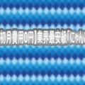  【今なら初月費用0円】業界最安級「にゃんこWi-Fi」