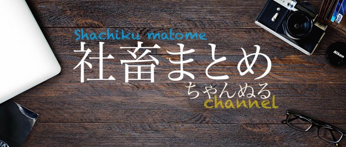 Ps４ フレの社会人マウントがうざい 社畜まとめちゃんぬる
