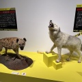 超危険生物展