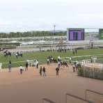 さておき競馬まとめ