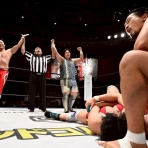 HARASHIMAの｢へろへろ日記｣