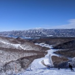 痔主コーチの日記