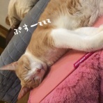 あびさむべすすー   と   てきとー手仕事