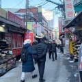 ������Ͽ �ڹ���� @ ��������ǯ���ߡ����ߤΥ�������ںߡ���������������Υ������