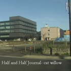 『ハローウィンの衆議院選挙; 民主主義憲法にない政権交代のルール』の画像