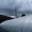 暑さ寒さも彼岸まで