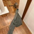 脱ぎたてのズボンを狙われ、変態になる飼い主…