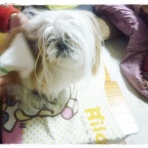 いつまでも一緒だよ♪