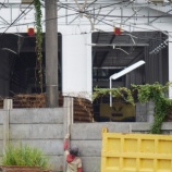 『週刊マンガライレポートVol.226』の画像