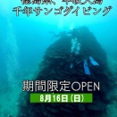 千年サンゴに潜りに行こう！