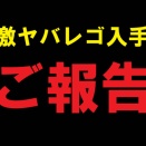 【国宝級!?】激ヤバレゴを入手してしまったことをご報告!!