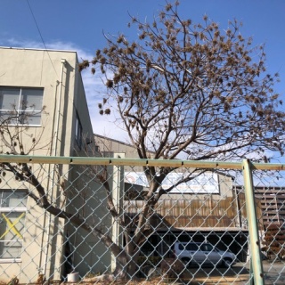 人生そんなに甘くない