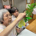 七夕〜願いを込めて〜