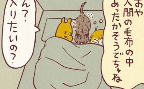 寒い夜 布団に入るか長考する猫