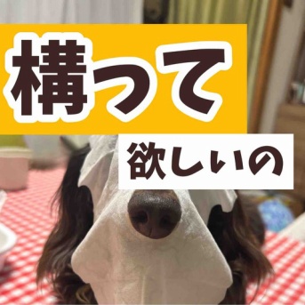 めんどくさい奴。