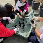 不登校365日24時間　フリースクール元気学園 ブログ