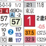ハイブリッド競馬新聞