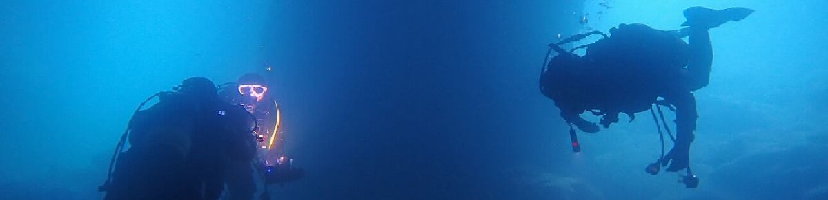 マリンビレッジ イメージ画像