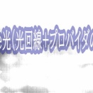 excite光（光回線+プロバイダのセット