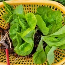 2025,12/3日の結果